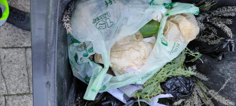 PPlastiktüten bilden noch immer den größten Störstoffanteil in der Biotonne.